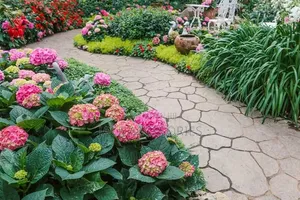 Landscaping and Lawn Care