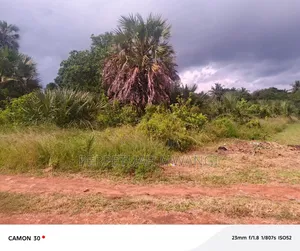 Prime 1/2acre Plot in Diani, South Coast Near Baobab Beach Resort