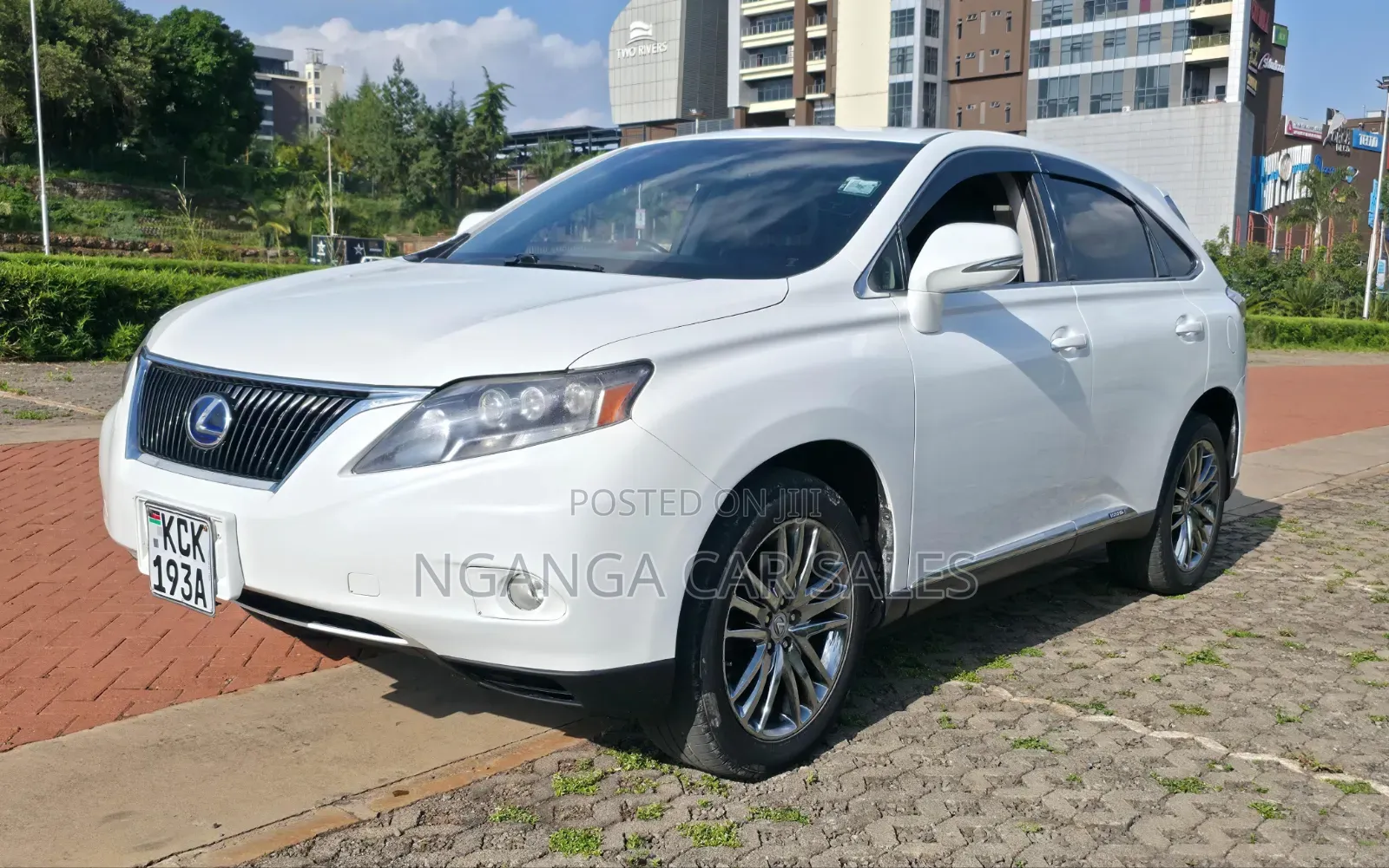 Lexus RX 2010 White
