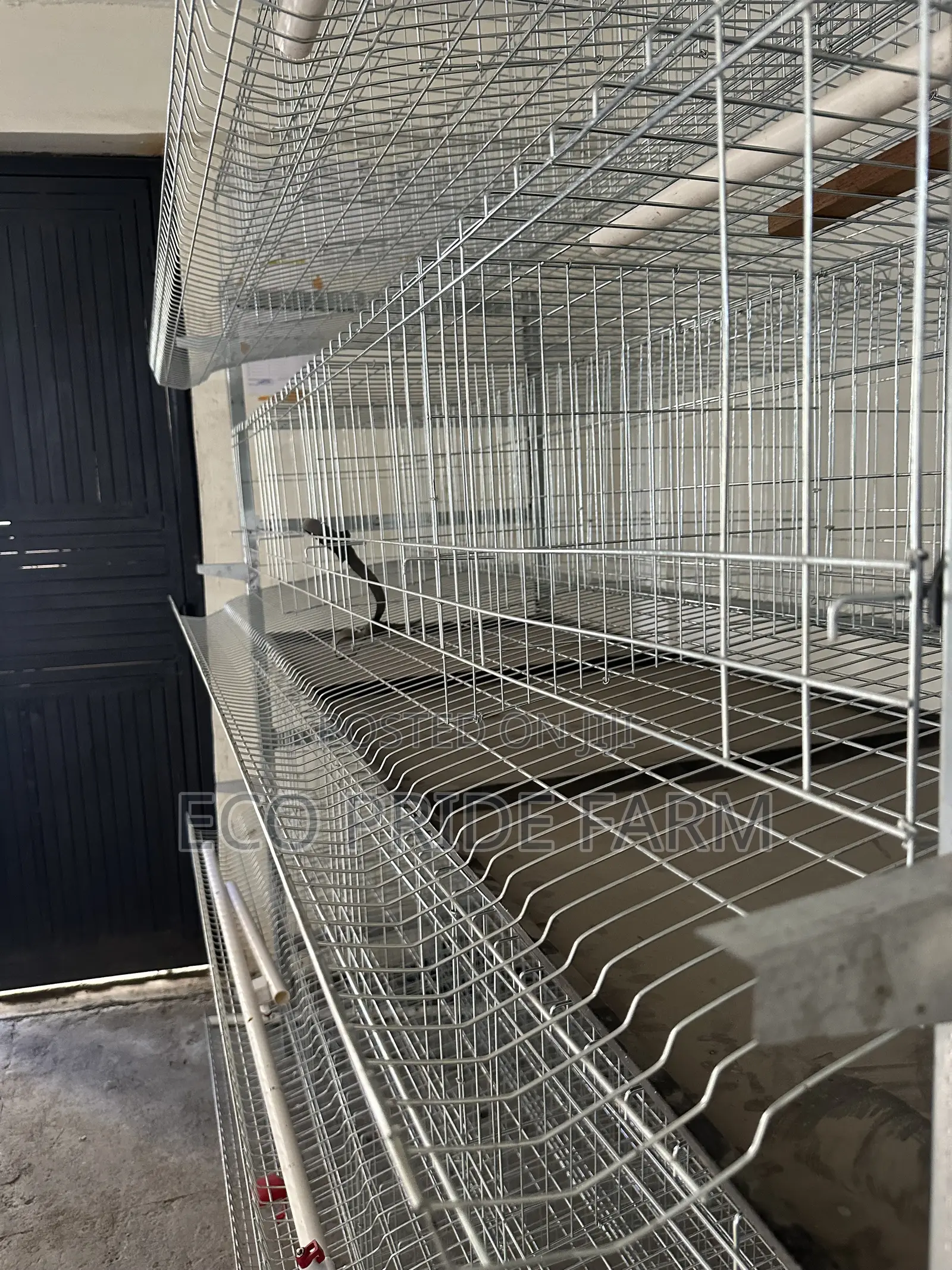Battery Cages (H-Type)
