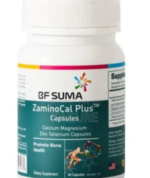 Bone Cartilage Products