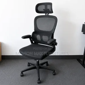 Back Support Adjustable Arms Office Chair