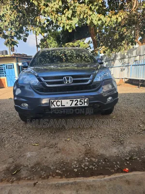 Honda CR-V 2010 Gray
