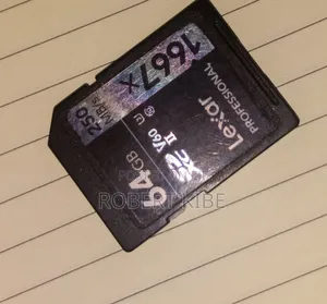 Lexar Sd Card