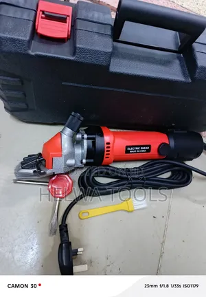 Electric Animals Shear
