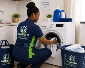 Professional Cleaning Services