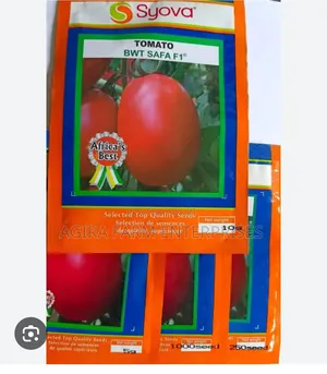Safa F1 Hybrid Tomato Variety