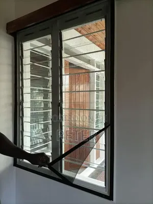 Windows Mosquito Screen