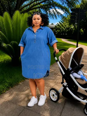 Denim Shirt Dress