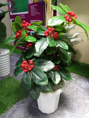 Artificial Home Decor Plants