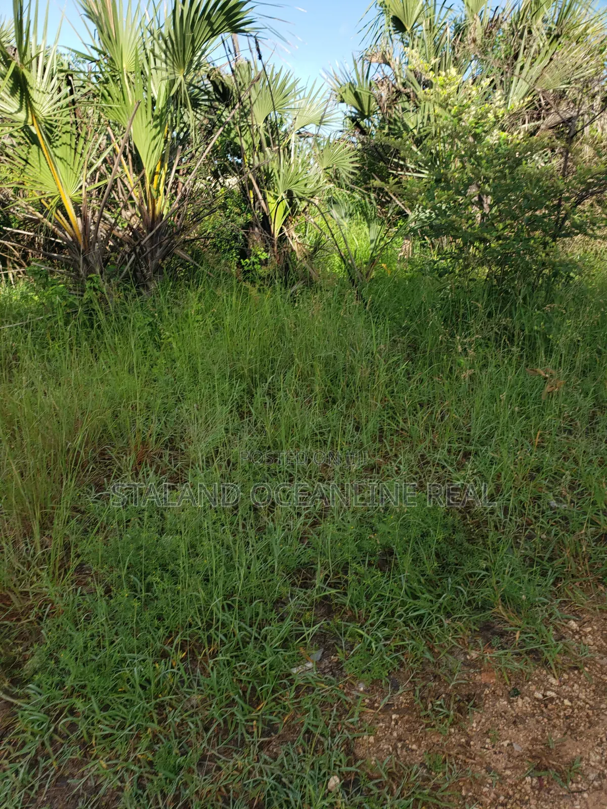 Prime Residential Plot for Sale – Ready for Development