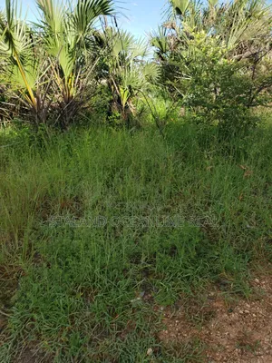 Prime Residential Plot for Sale – Ready for Development