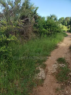 Prime Residential Plot for Sale – Ready for Development