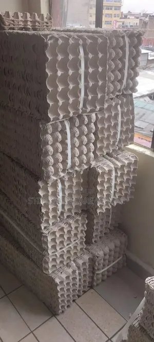 Heavy Duty Papercegg Trays -100 PCS