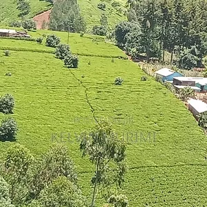 Farming Land and Resident