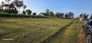 Prime Plots for Sale in Eldoret Sogomo Mti Moja Uoe