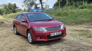 Toyota Allion 2008 Brown