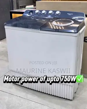 Hisense 20 L Twintub Machine-Wsbe201