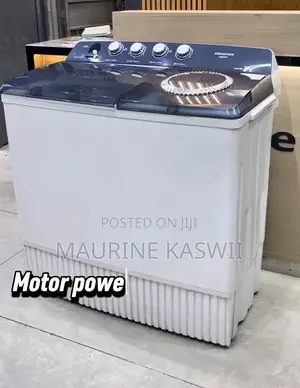 Hisense 20 L Twintub Machine-Wsbe201
