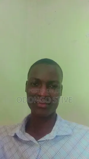 Beginner English Basics