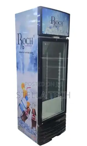 209 Litres Roch Vertical Showcase Model RSF-260-O Refrigerator