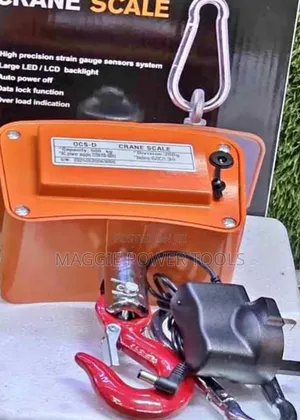Good Quality and Affordable Crane Weighing Scale/500kg Crane