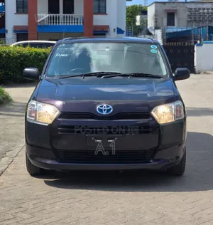 Toyota Probox 2019 Purple