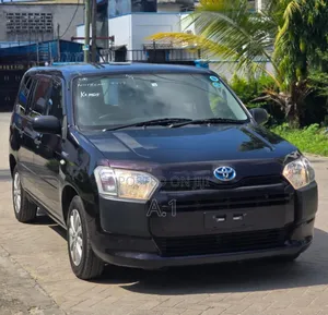 Toyota Probox 2019 Purple