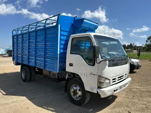 Isuzu NPR 2019