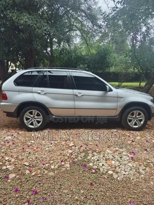 BMW X5 2006 Silver