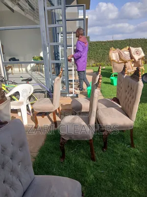 Experience Spotless Sofaset Cleaning and Reliable Fumigation