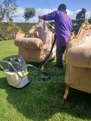 Behind Every Clean Sofaset Is a Dedicated Professional Cleaner