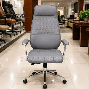 Leather Executive Modern Seat