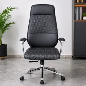 Leather Executive Modern Seat