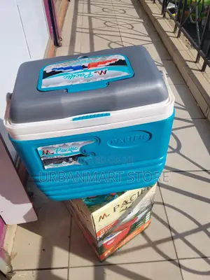 Pacific 32 Litre Insulated Cooler Box With Handle