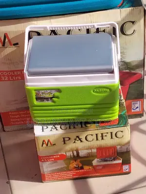 Cooler Box 4 .5 Litres - Medical Use