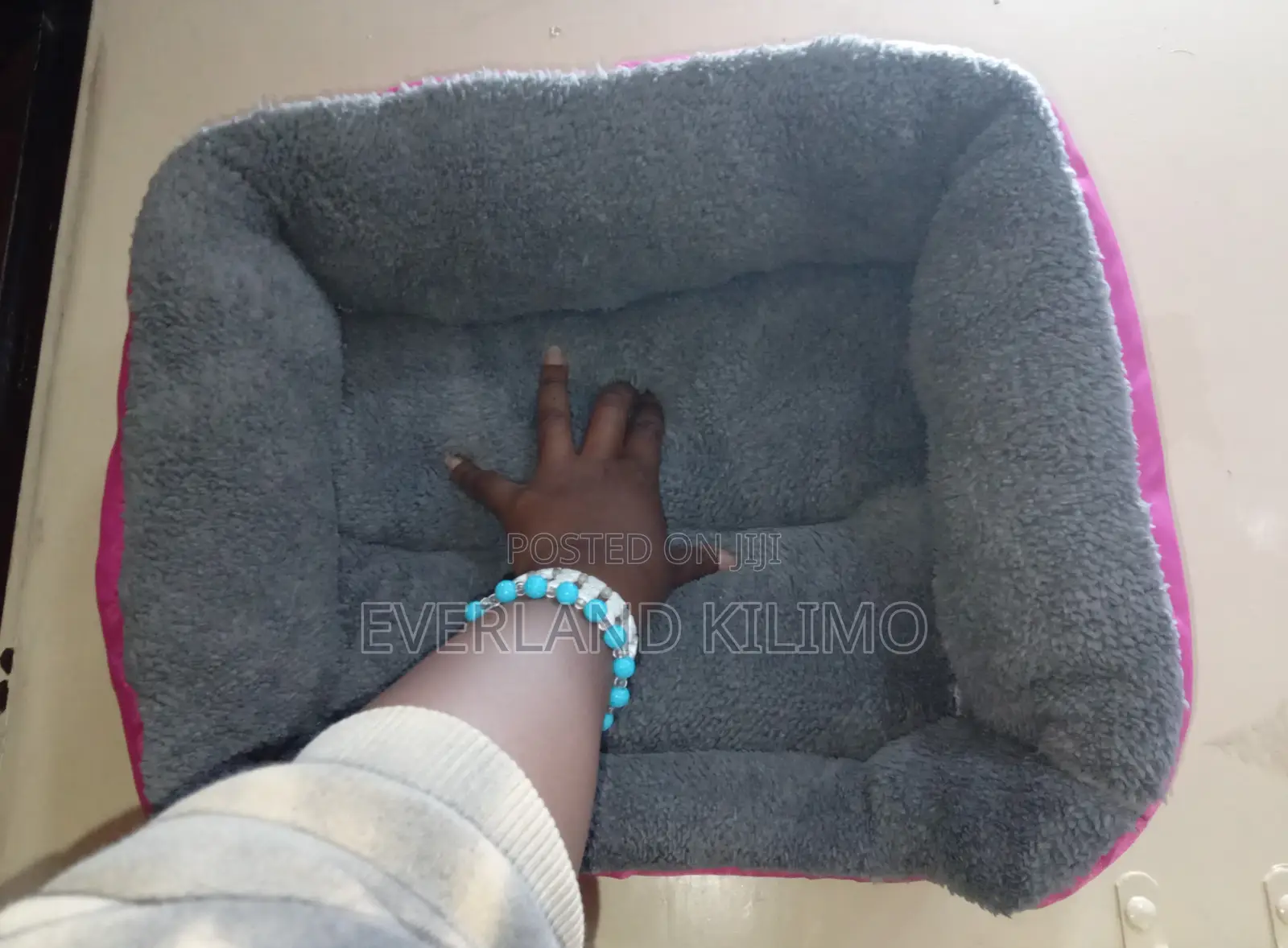 Small Dog Beds
