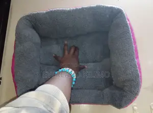 Small Dog Beds