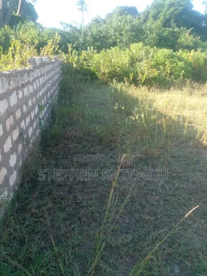 1/4 Acre Plot on Sale at Kombani on the Way to Kwale Road Side