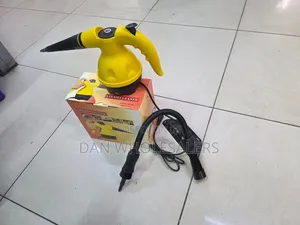 Hand Held Steam Cleaner at 2600