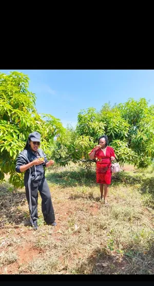 Ready Title,Matuu Kaewa Plots for Sale at