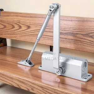 25-45kg Dual Valve Hydraulic Door Closure Closing Device