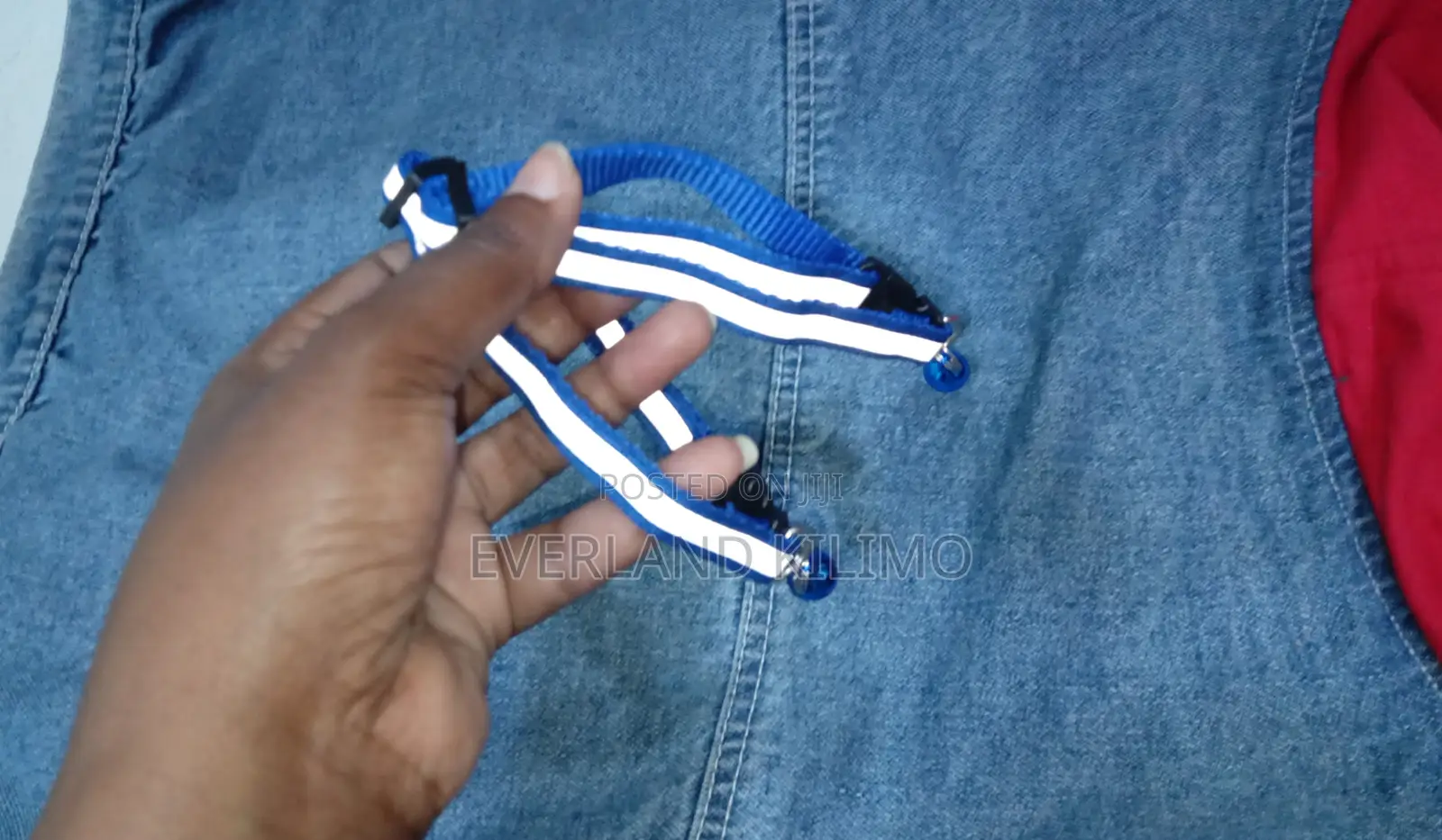Adjustable Cat Collars