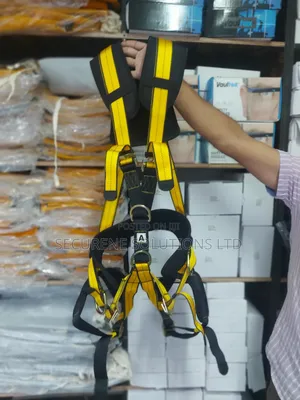 Panacea Safety Harness.