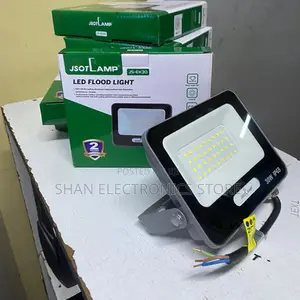 Weather-resistant Outdoor 30w Ac Led Floodlight Performance