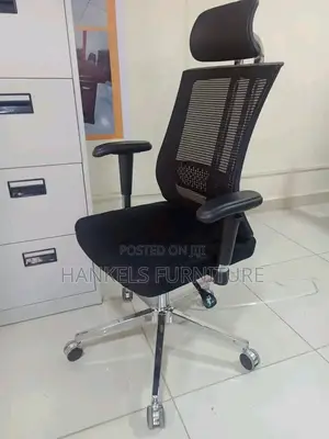 Modern Orthopedic Computer Chair