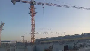 Zoomlion H25fp15-380p Tower Crane 2021