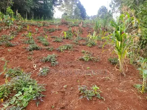 Plot for Sale in Kabete