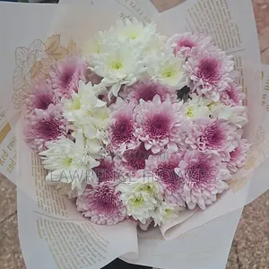 Birthday Packages