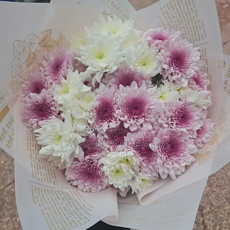 Birthday Packages